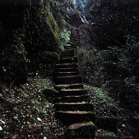  p>爱情天梯是指刘国江老人为妻子手工凿成的6208级下山阶梯,位于重庆