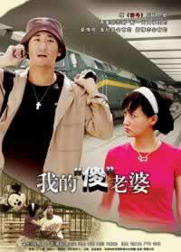 我的老婆是傻瓜