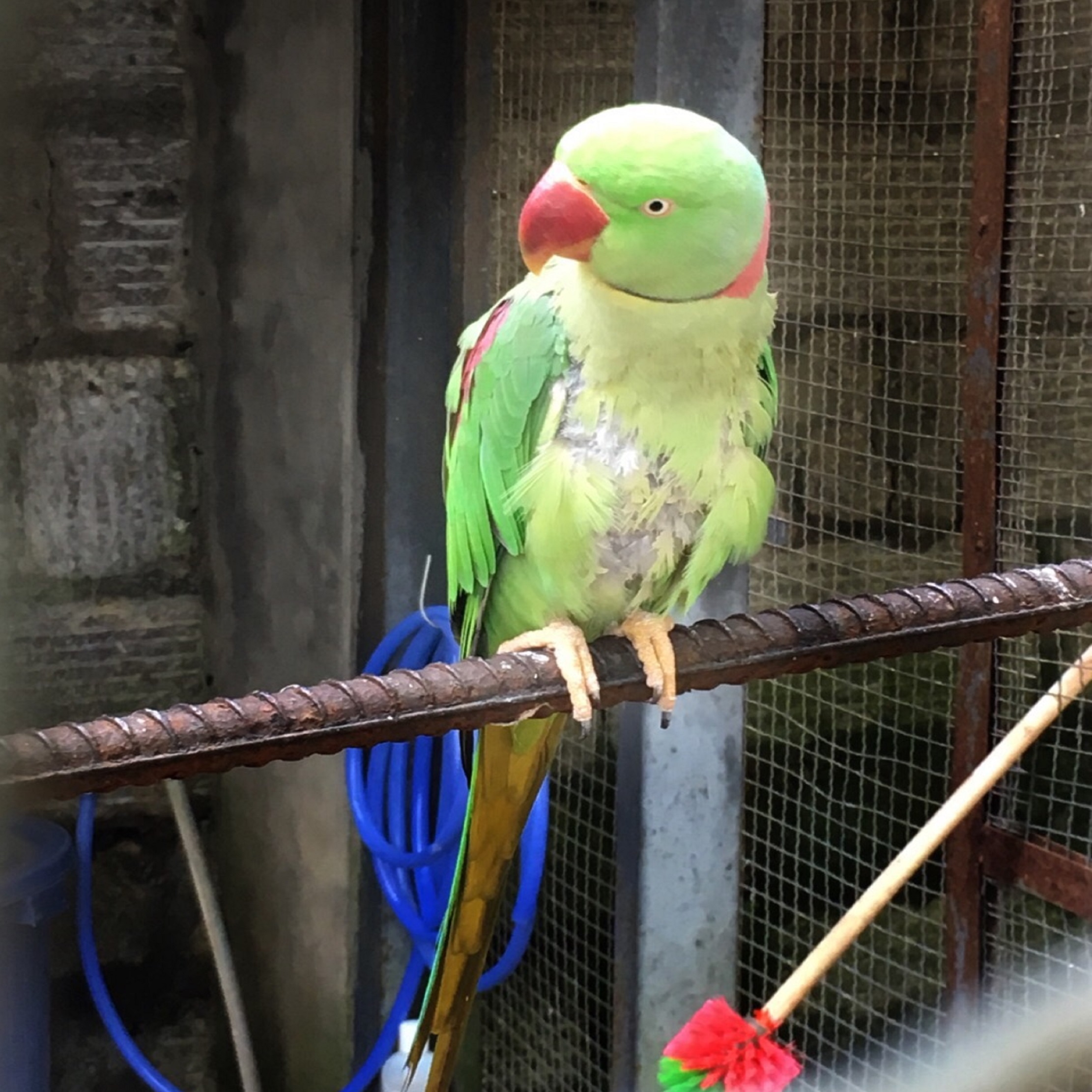  p>福州动物园位于福州市 a target="_blank" href="/item/晋安区