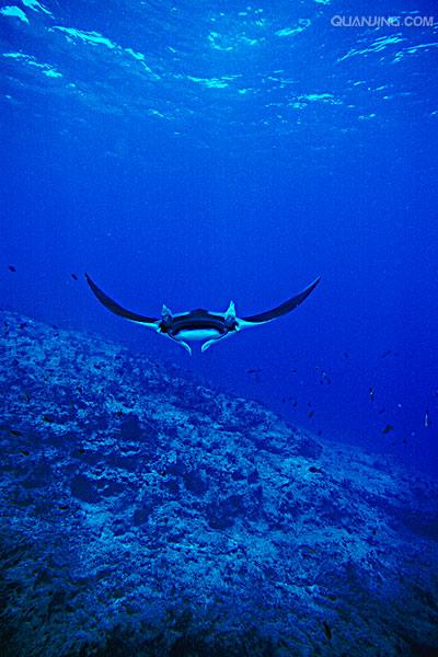  p>太平洋(pacific ocean)是世界上最大,最深,边缘海和岛屿最多的大洋