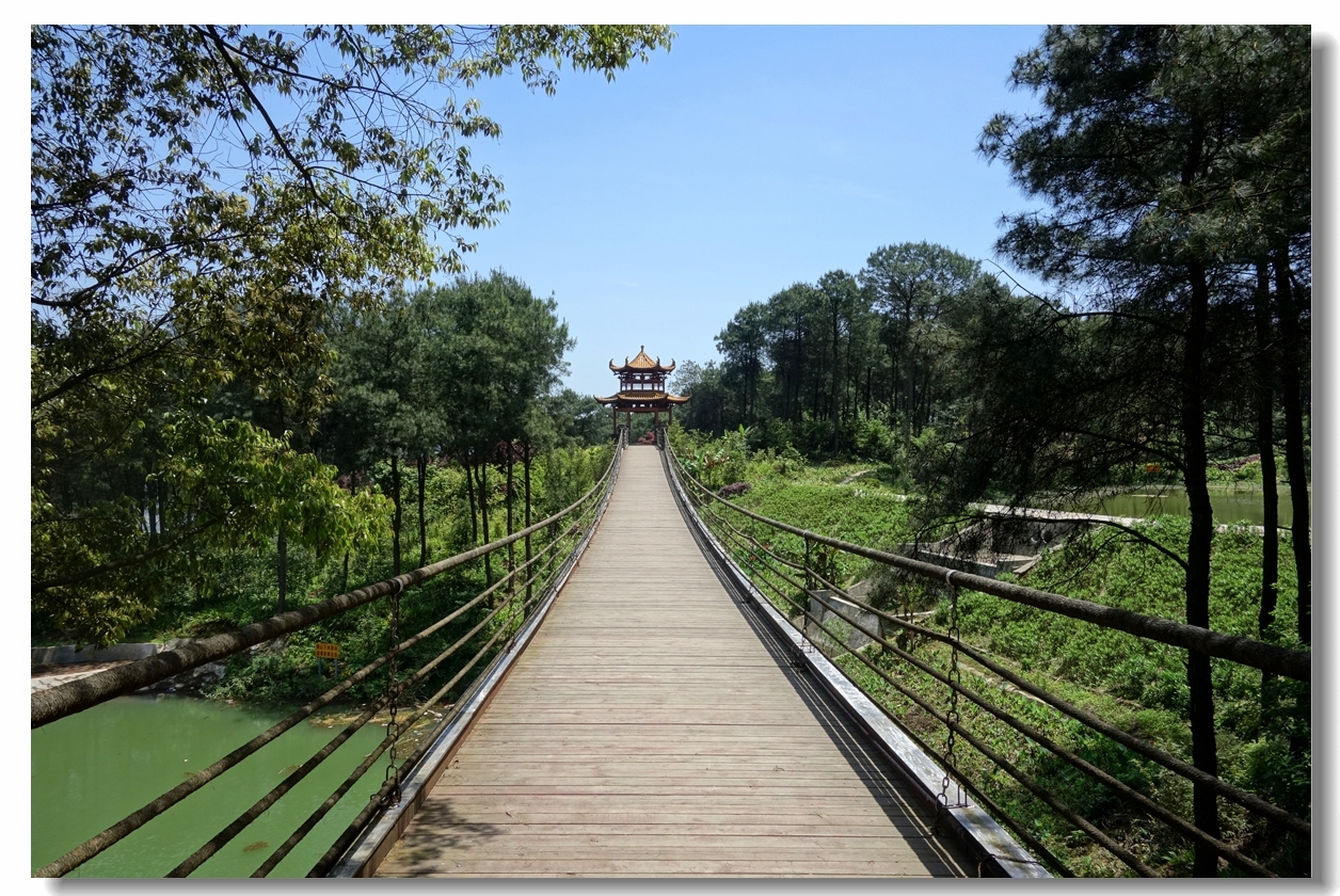 铁山坪森林公园