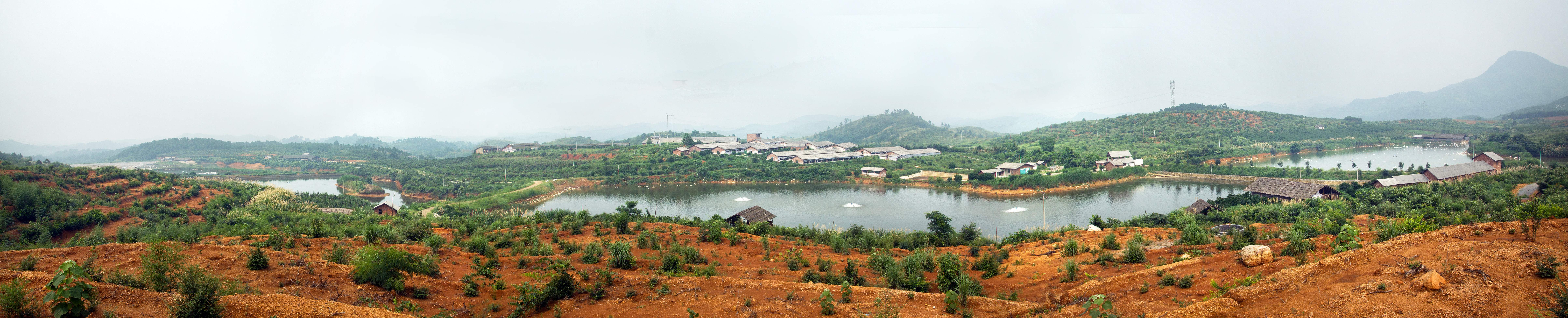 连州市龙坪镇黄芒生态农业农场