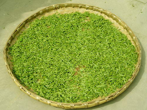 data-lemmaid="3493669">官司绿茶 /a>:周宁为省茶叶生产基地之一