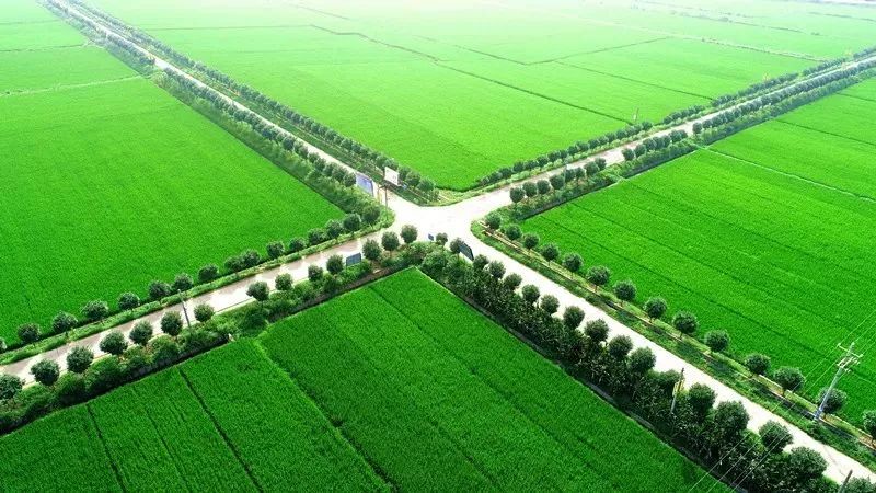  p>九集镇,隶属于湖北省襄阳市南漳县,地处 a target="_blank" href="