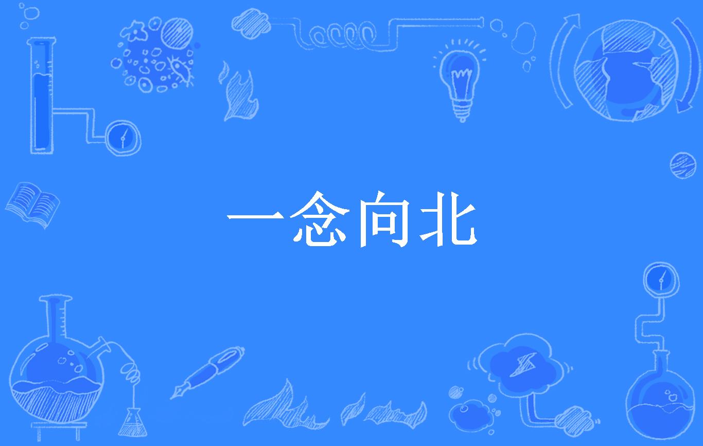 一念向北