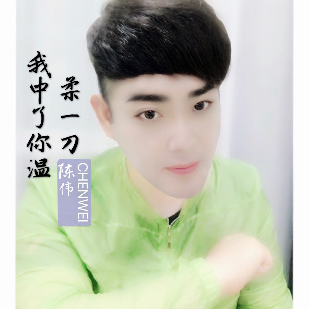  p data-id="go09pqzq6i">陈伟,国内音乐人,音乐制作人,作曲家,作词家