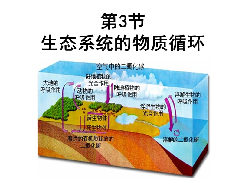  p>物质循环(nutrient cycle)是生态学概念,指生物圈里任何物质或元素