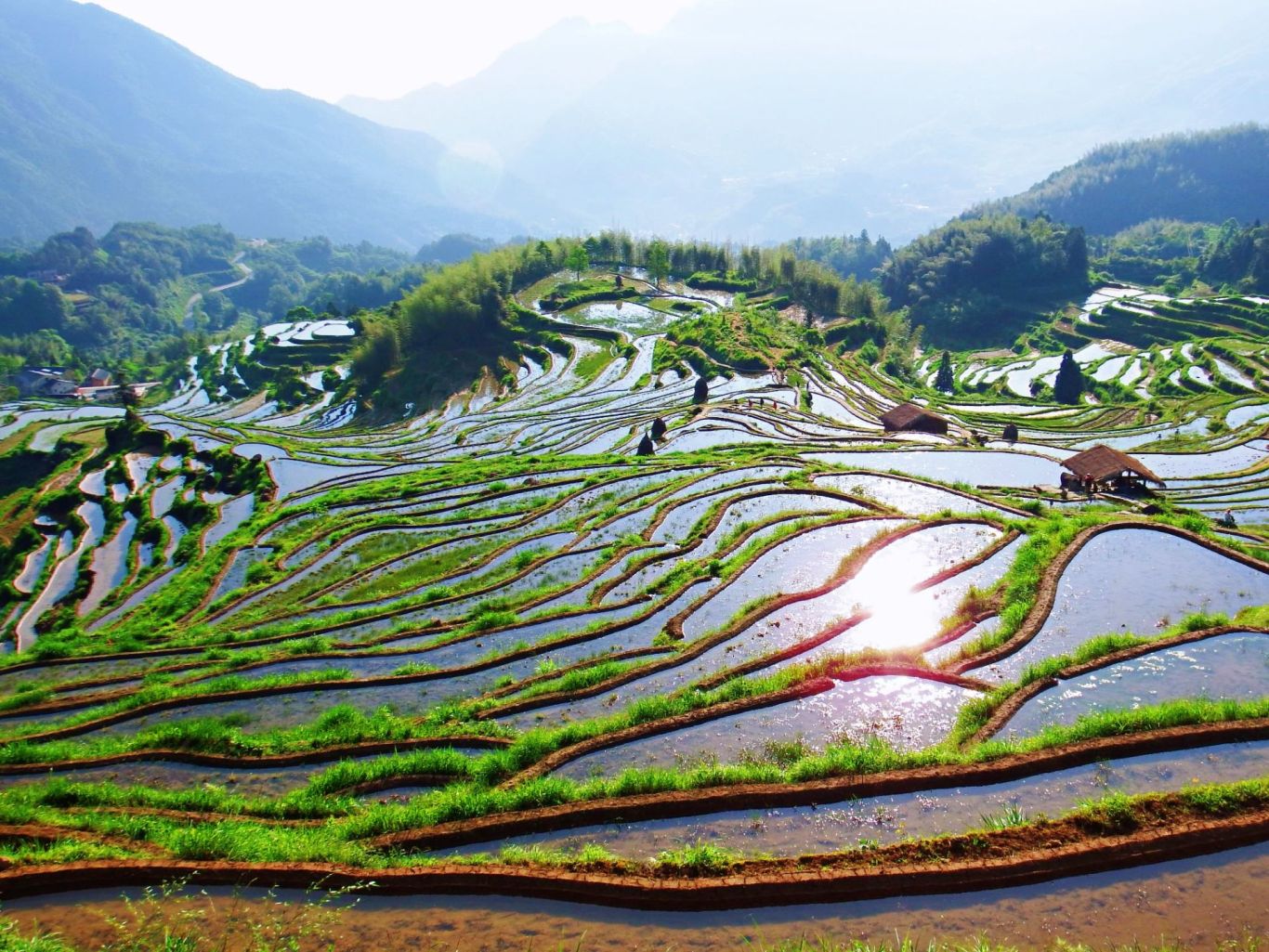 丽水市云和梯田景区