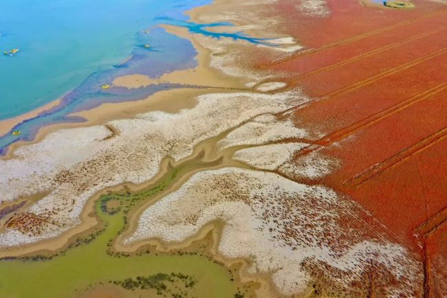 盐城世界自然遗产地