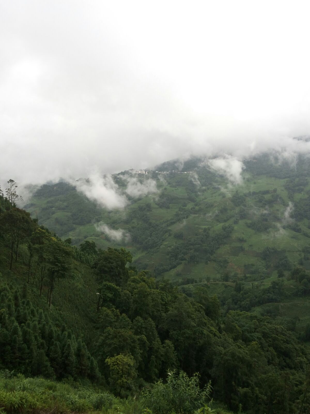  p>逢春岭乡,隶属于云南省红河哈尼族彝族自治州元阳县,地处 a target