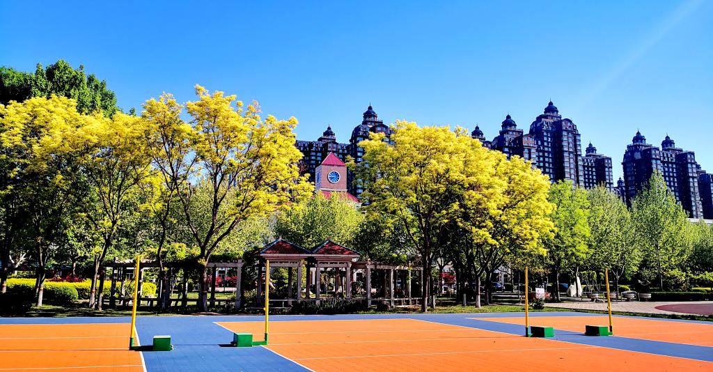 石家庄工商职业学院