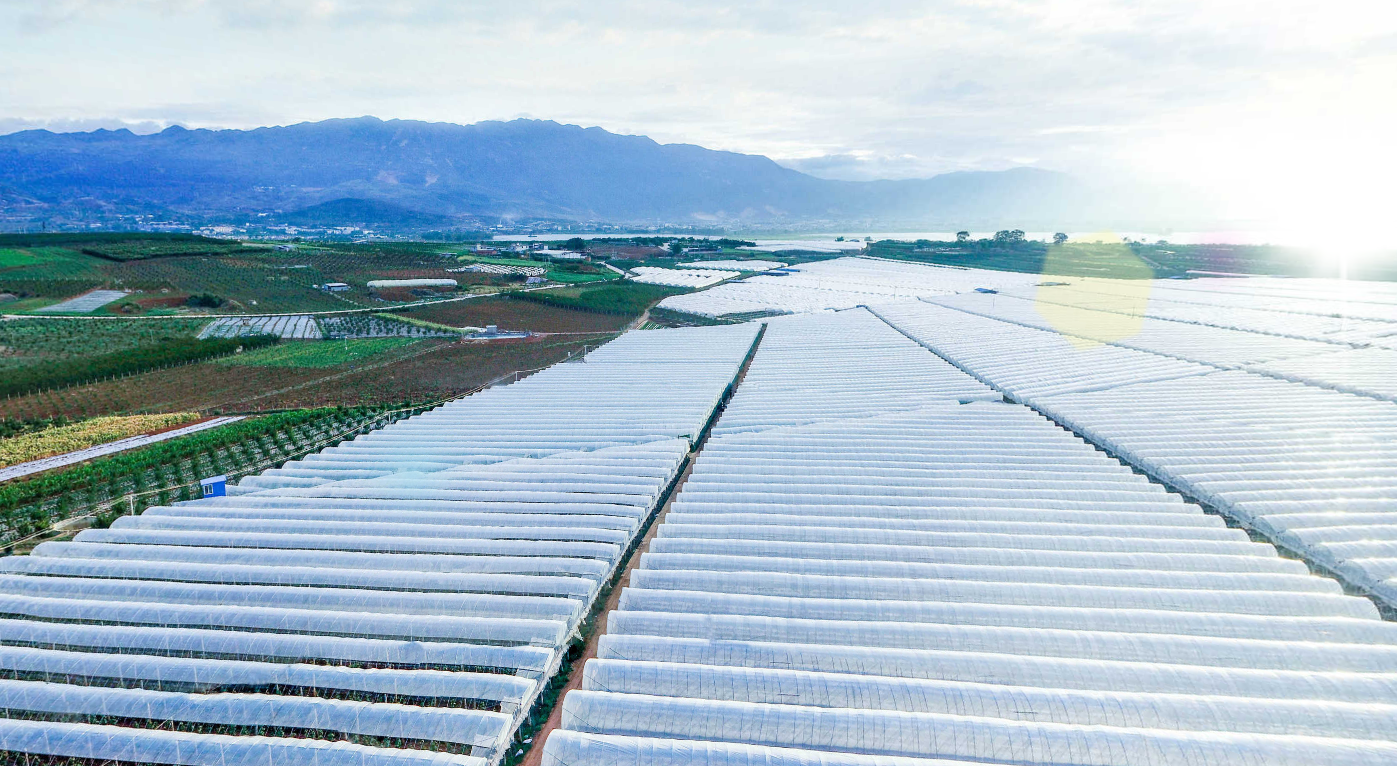 id="gnbxfoxmyj">巡检司镇,隶属于云南省红河哈尼族彝族自治州弥勒 