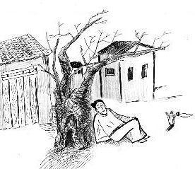【中国語　BL小説】『南柯奇譚（醉倚欄杆、長夢君歸、情相流醉）』（全三冊） 柯南]安瑟从天上来》夜晚的血_晋江文学城_【衍生小说|纯爱小说】