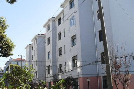  p>汤巷中心村位于上海市浦东康桥,由周康置业开发有限公司建成,总