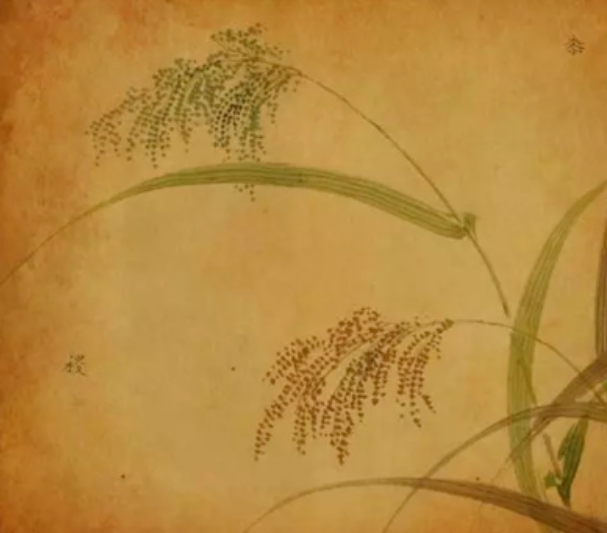 《黍离》不被人知的茫茫孤独_百科TA说