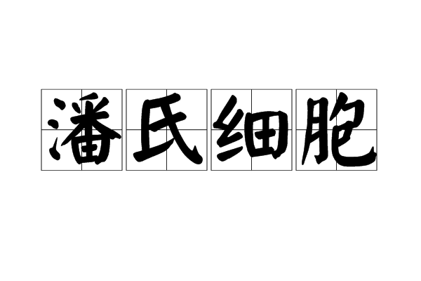 潘氏细胞