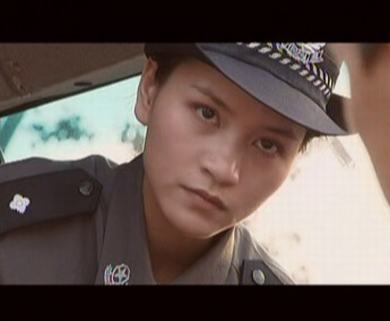 中国刑警之英雄本色