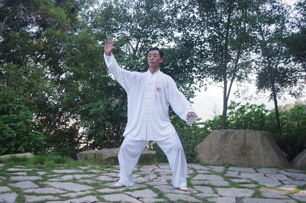  p data-id="gnbjllr8ev">白鹤亮翅,是太极招式之一.