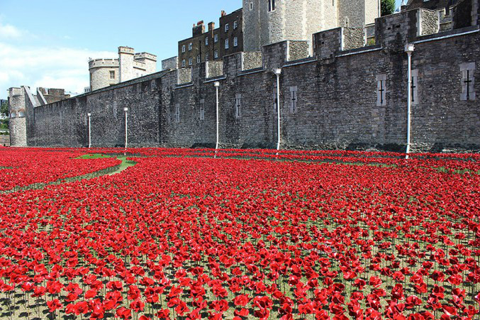swept lands and seas of red,tower of london poppies): /p> p>2014