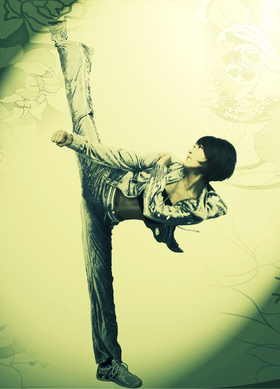  p>飞儿 i>(原名王菲 /i>),出生于河北省,毕业于河北武术队,中国内地