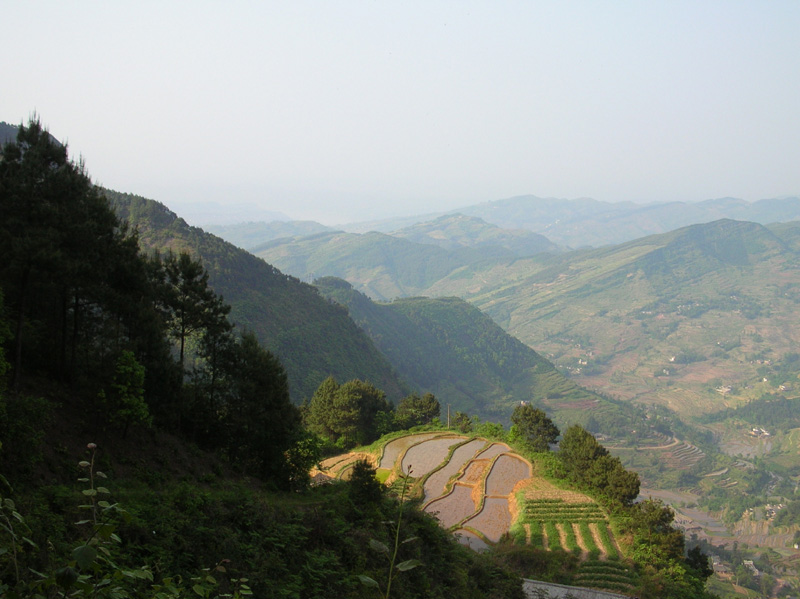  p data-id="gnwtk621t8">雨台山位于重庆市涪陵区城东12公里处,是一