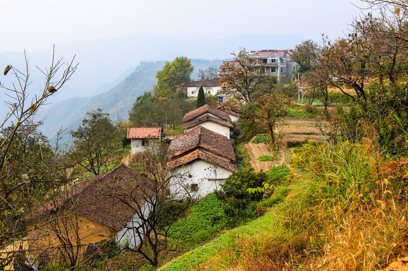  p data-id="gnb2byqssp">东坪古道,位于浙江省衢州市衢江区 a target