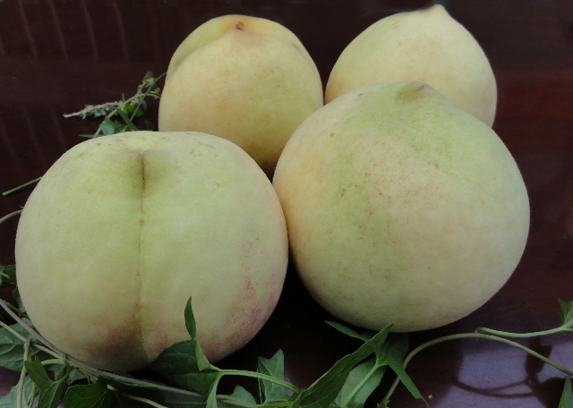 山东省泰安市 a href="#" data-lemmaid="2096967">肥城市 /a>特产