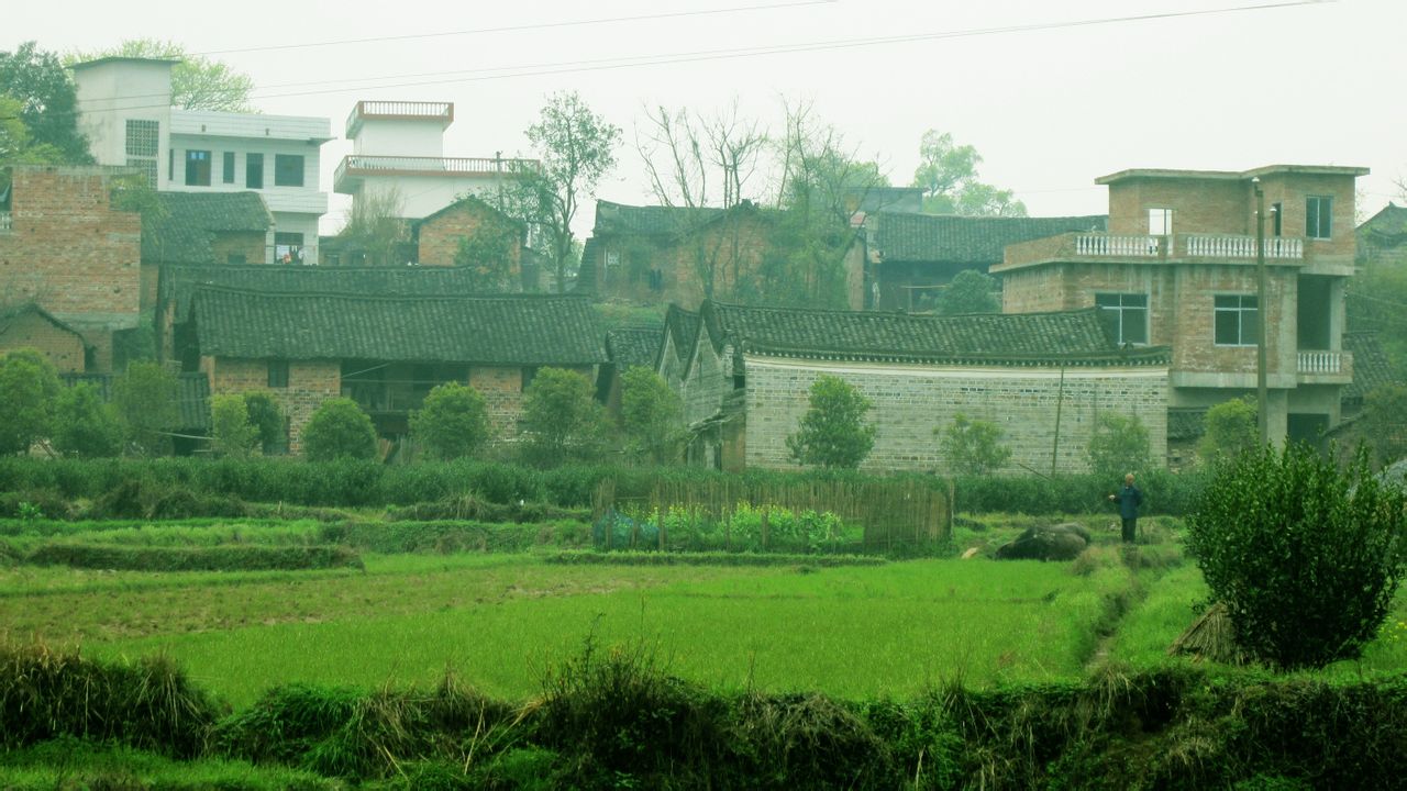  p>咸水乡一般指咸水镇.