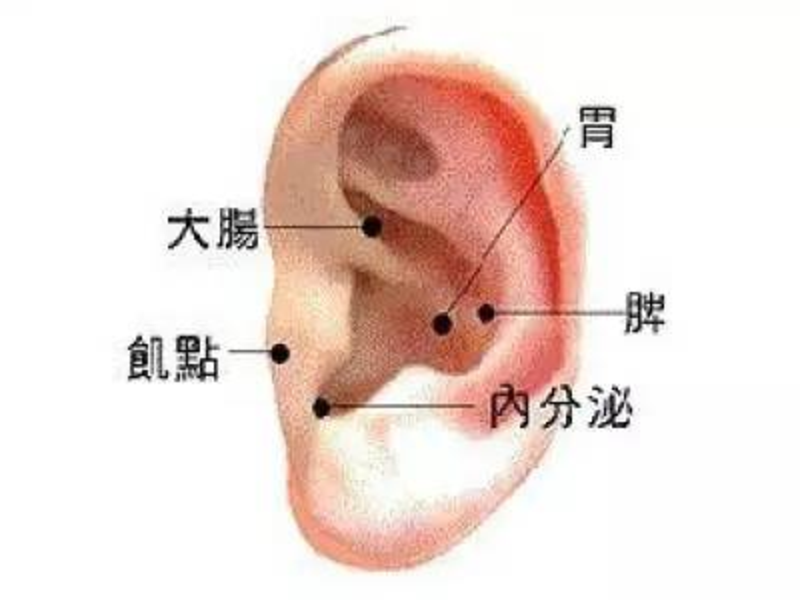  p>耳穴压豆法,是用胶布将药豆准确地粘贴于耳穴处,给予适度的揉,按