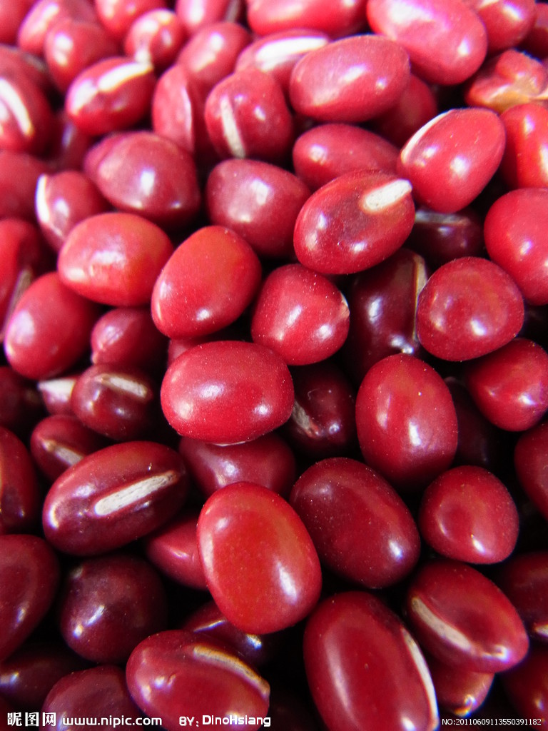  p>赤豆(学名: i>v i>i /i> /i> i>gna angularis   /i>(willd.