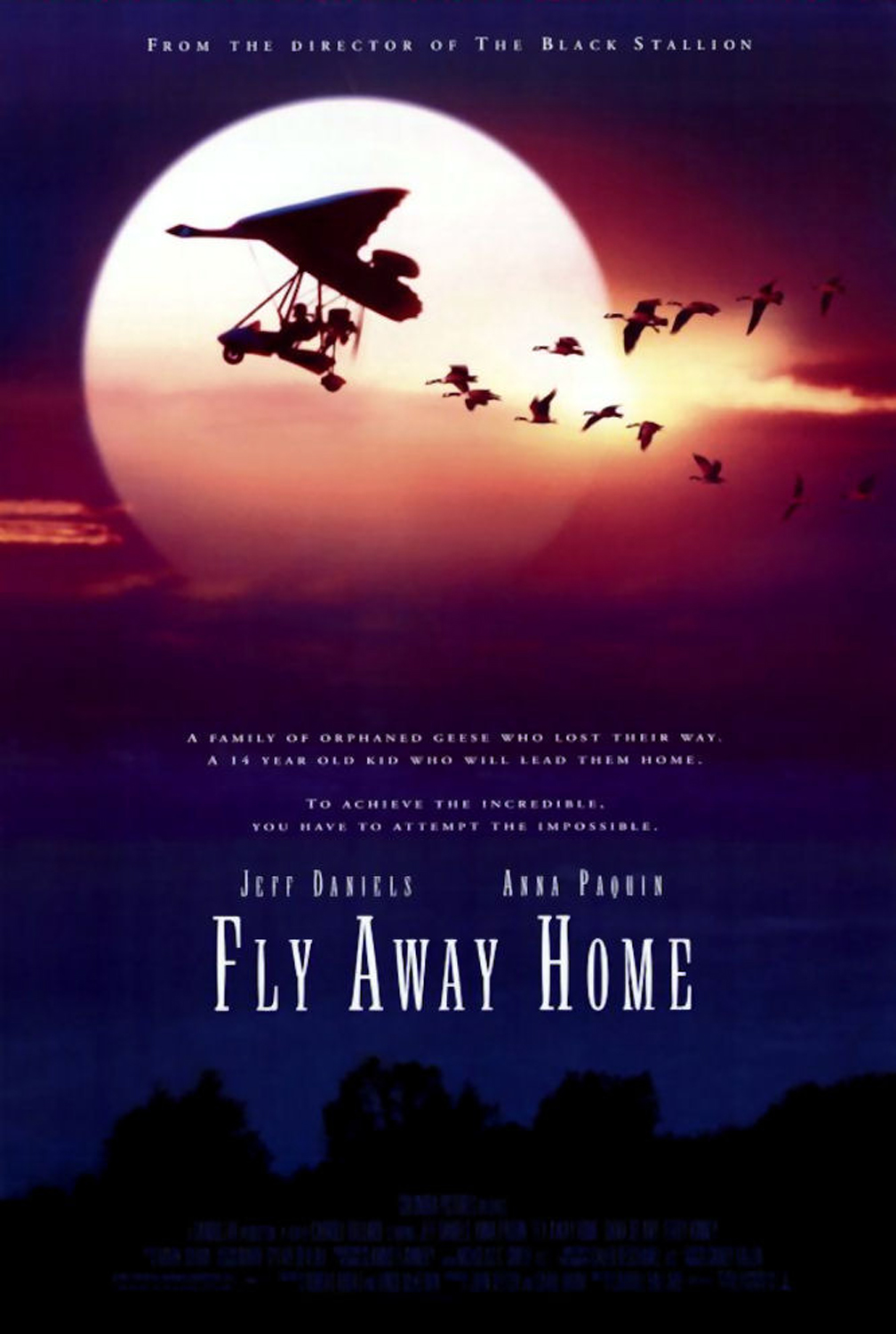 伴你高飞flyawayhome(1996)