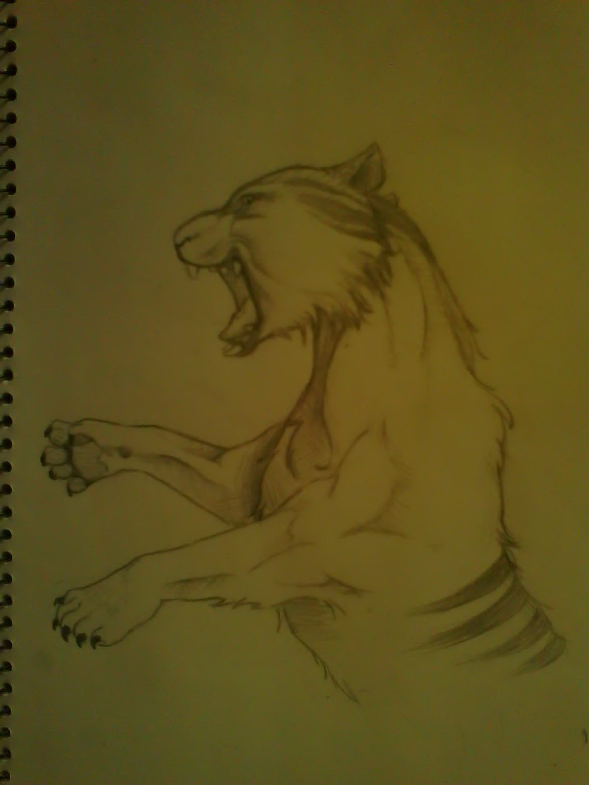  p>袋剑齿虎是一种已灭绝的 a href="#" data-lemmaid="12725147">有