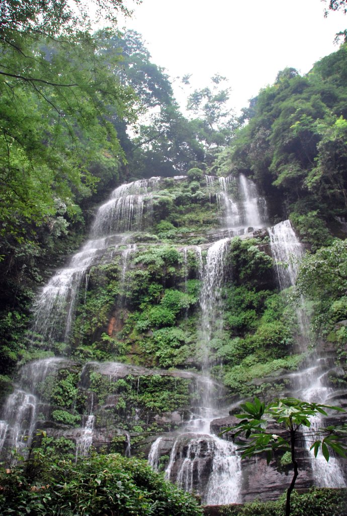雅安十大必去的旅游景点有蒙顶山风景区雅安喇叭河风景区神木垒飞仙关