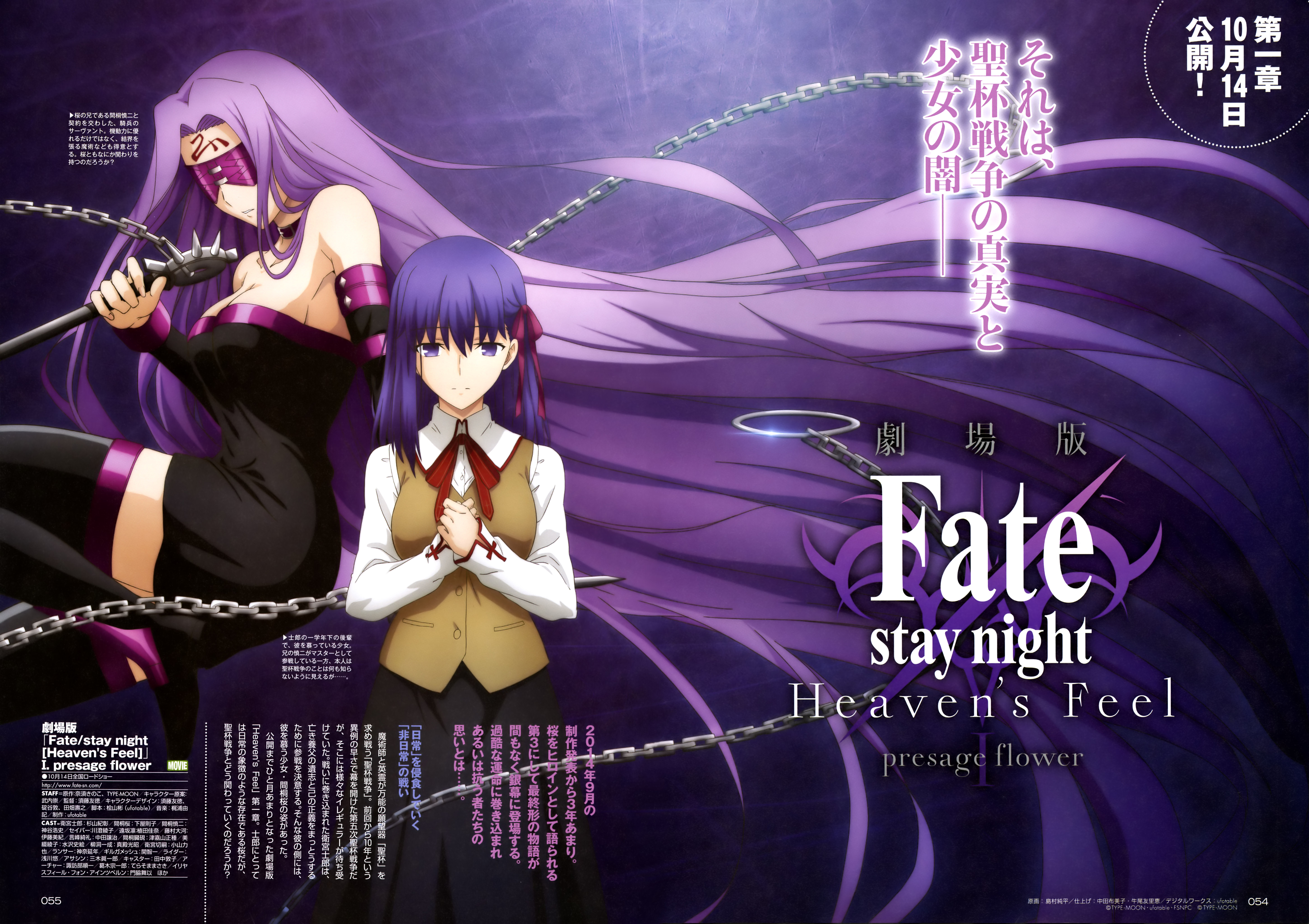 fate/stay night heavens feel剧场版