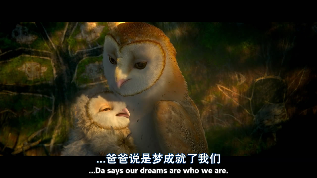 猫头鹰影评
