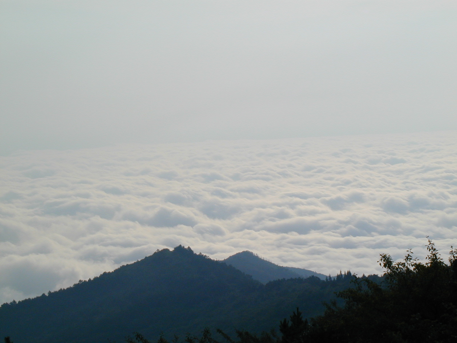  p>白马山位于广东省信宜市钱排镇白马村,海拔1475米,相传白马隐见而