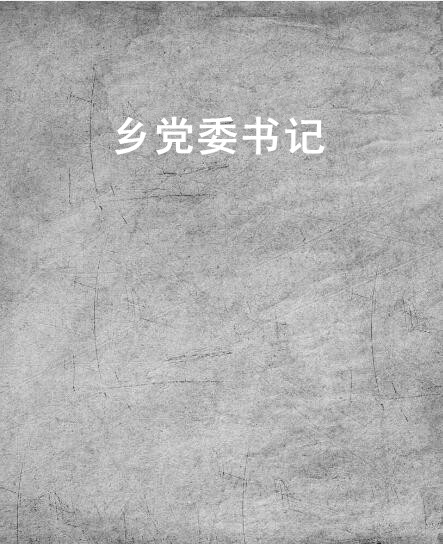 乡党委书记