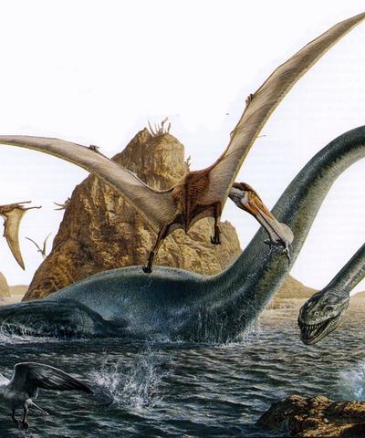  p>薄片龙是晚期 a href="#" data-lemmaid="7554264">蛇颈龙类 /a>的