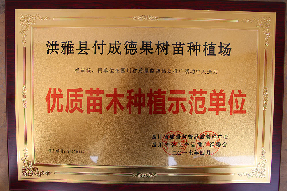洪雅县付成德果树苗种植场