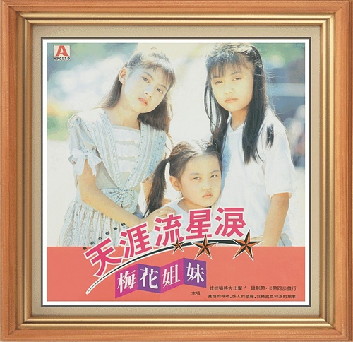  p>《天涯流星泪》是台湾歌唱组合梅花姐妹演唱的一首单曲,该曲收录在