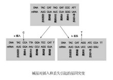 移码突变范例