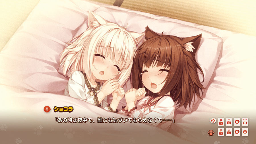 巧克力,视觉小说游戏《 a target="_blank" href="/item/猫娘乐园