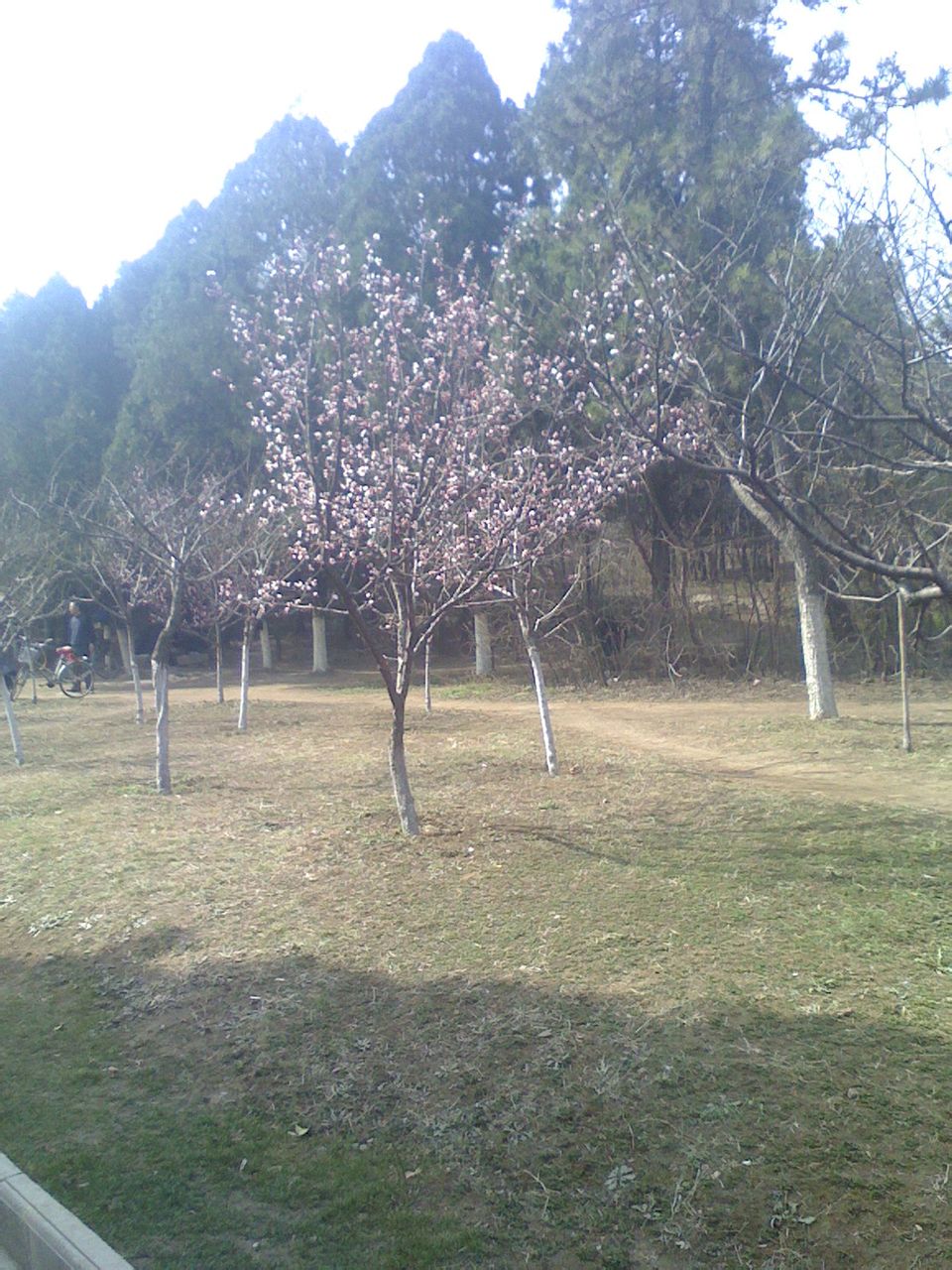 平顶山河滨公园