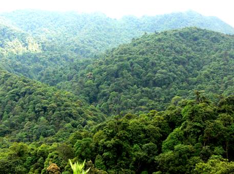 云南元阳观音山省级自然保护区