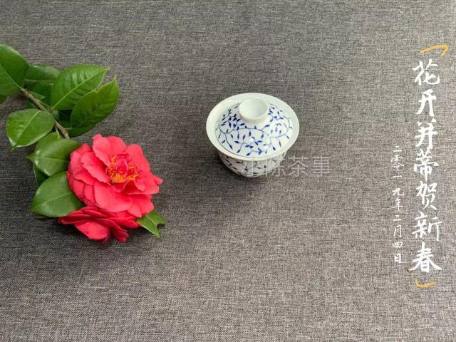 注水和出汤，一泡白茶的生死场！_百科TA说