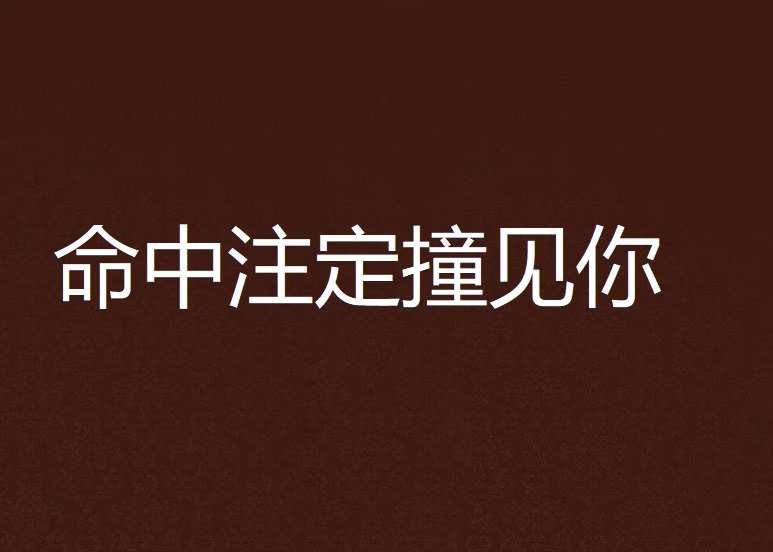 命中注定撞见你
