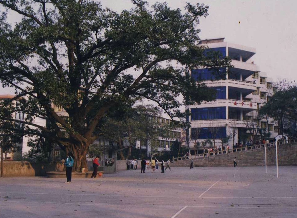 重庆市涪陵区第五中学