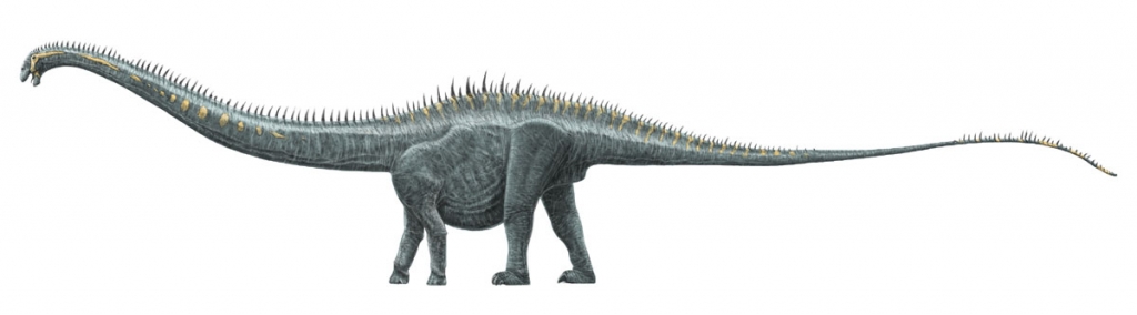  p>易碎双腔龙是由古生物学家爱德华·德林克·科普