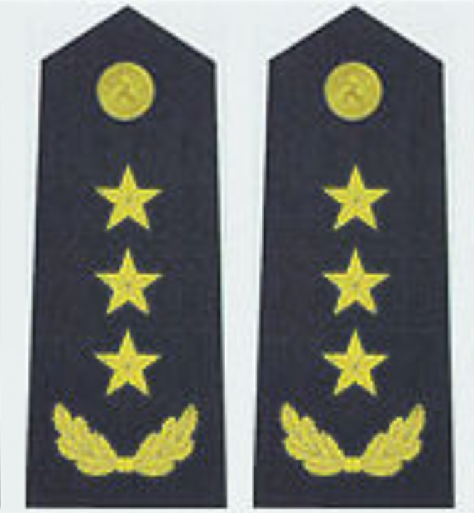  p data-id="gnx8hrwk6f">海军高级军官的军衔.