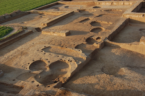 河南新郑唐户遗址